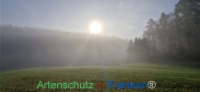 Bild zum Eintrag (1129263-177)