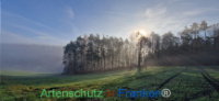Bild zum Eintrag (1129265-177)