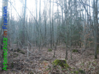 Bild zum Eintrag (1132208-177)