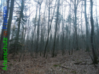 Bild zum Eintrag (1132213-177)