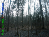 Bild zum Eintrag (1132215-177)