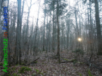 Bild zum Eintrag (1132217-177)