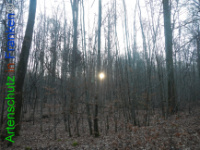 Bild zum Eintrag (1132220-177)