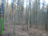 Bild zum Eintrag (1132221-177)