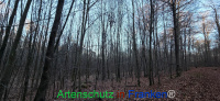 Bild zum Eintrag (1132405-177)