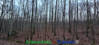 Bild zum Eintrag (1132409-177)