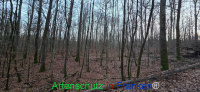 Bild zum Eintrag (1132410-177)