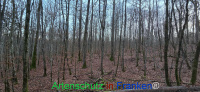 Bild zum Eintrag (1132411-177)