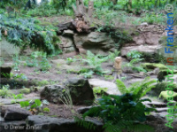 Bild zum Eintrag (1132520-177)