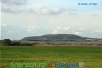 Bild zum Eintrag (1132521-177)
