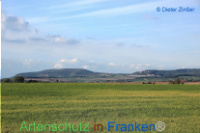 Bild zum Eintrag (1132523-177)