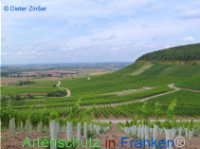 Bild zum Eintrag (1132524-177)
