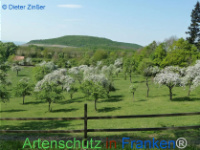 Bild zum Eintrag (1132525-177)
