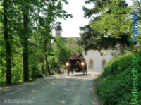 Bild zum Eintrag (1132527-177)