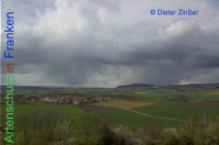 Bild zum Eintrag (1133443-177)