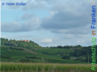 Bild zum Eintrag (1133445-177)
