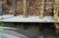 Bild zum Eintrag (1134026-177)