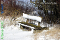 Bild zum Eintrag (1134034-177)