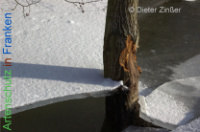 Bild zum Eintrag (1134035-177)