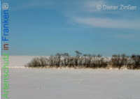 Bild zum Eintrag (1134041-177)