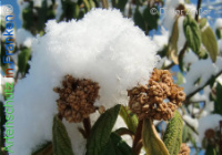 Bild zum Eintrag (1134043-177)