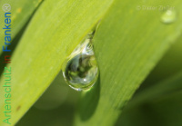 Bild zum Eintrag (1134107-177)