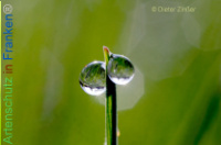 Bild zum Eintrag (1134130-177)