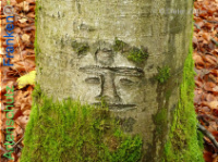 Bild zum Eintrag (1134154-177)