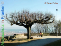 Bild zum Eintrag (1134157-177)