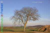 Bild zum Eintrag (1134158-177)