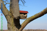 Bild zum Eintrag (1134160-177)