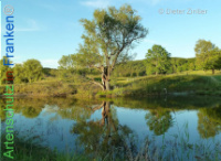 Bild zum Eintrag (1134161-177)