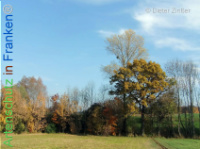 Bild zum Eintrag (1134163-177)