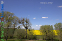 Bild zum Eintrag (1134170-177)