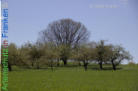 Bild zum Eintrag (1134171-177)