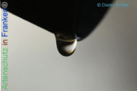 Bild zum Eintrag (1134378-177)