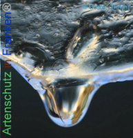 Bild zum Eintrag (1134380-177)