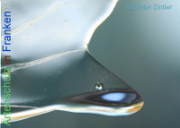 Bild zum Eintrag (1134382-177)