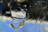 Bild zum Eintrag (1134386-177)