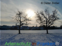Bild zum Eintrag (1135403-177)