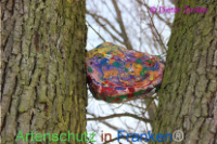 Bild zum Eintrag (1135408-177)