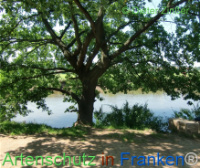 Bild zum Eintrag (1135410-177)