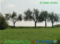 Bild zum Eintrag (1135411-177)
