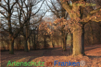 Bild zum Eintrag (1135413-177)