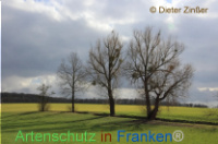 Bild zum Eintrag (1135414-177)