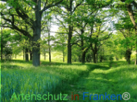 Bild zum Eintrag (1135415-177)
