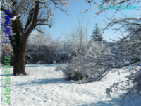 Bild zum Eintrag (1137932-177)