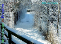 Bild zum Eintrag (1137934-177)