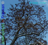 Bild zum Eintrag (1137936-177)