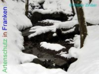 Bild zum Eintrag (1137937-177)